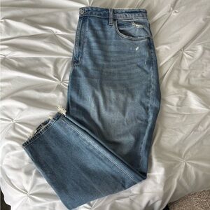 Abercrombie & Fitch Blue Straight Jeans Classic Denim